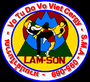 BLASON 12 02 2008 VOTUDO CERCLE LAMSON BTVTDVV CERGY.png (miniature)
